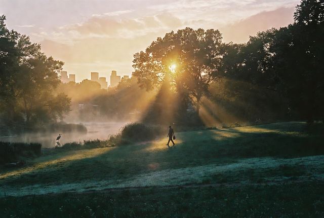 6:45 AM • Central Park, Manhattan — The Great Lawn Awakening: Groundskeeper walks the dew-covered lawn. Golden morning light filters through tall trees as a lone heron stands still.